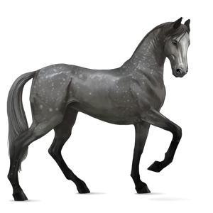 File:Dapple Gray Akhal-Teke.png