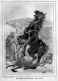 Die Zähmung des Bukephalos.jpg