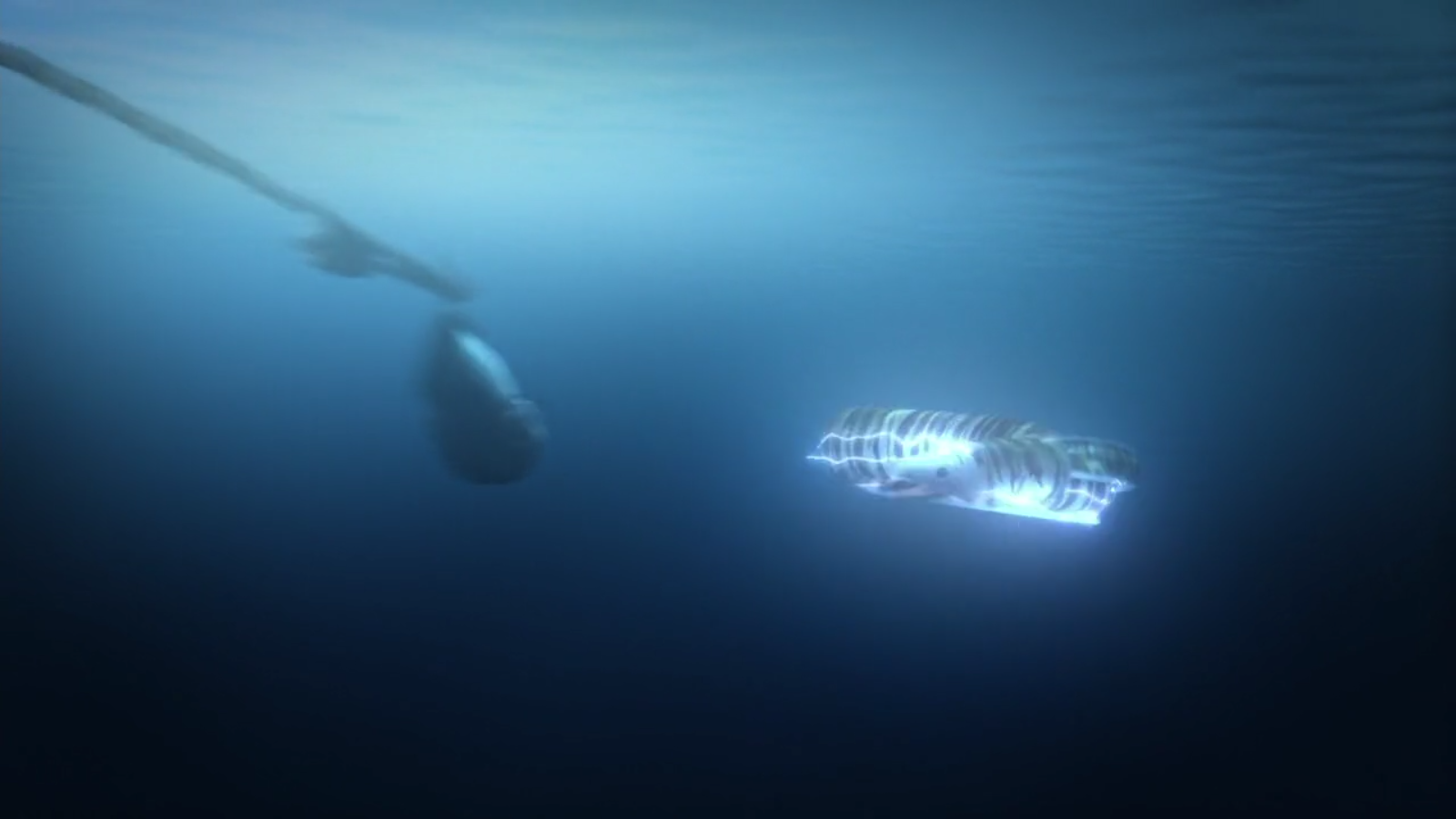 Image - Giant electric eel 2.png | How to Train Your Dragon Wiki