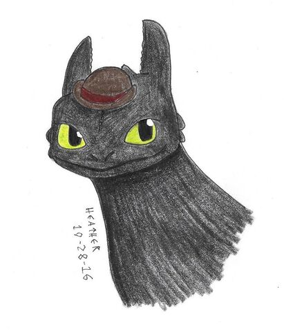 File:Toothless hat.jpg
