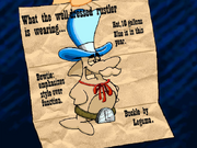 The Rustler Fashion Foldout