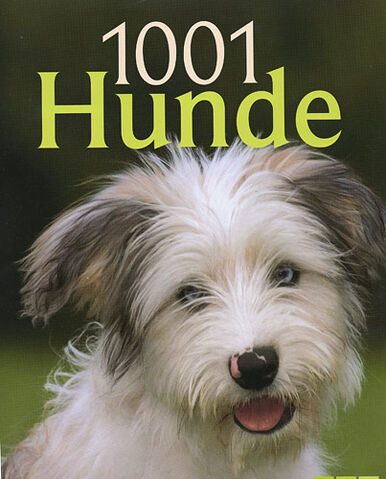 Datei:1001 Hunde.jpg