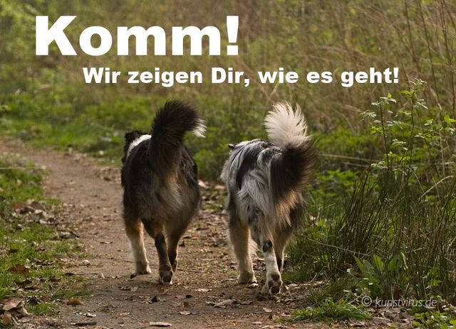 Datei:Einführung.jpg