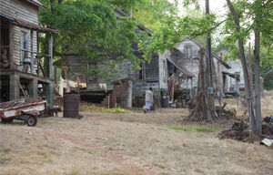 District12