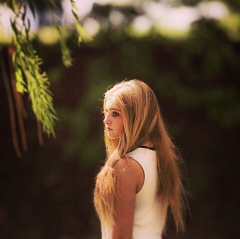Fichier:600full-willow-shields.jpg