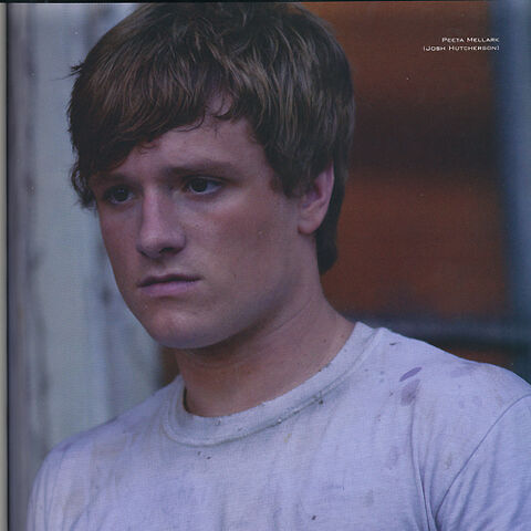 Fichier:Peeta-the-hunger-games-movie-28801492-500-500.jpg