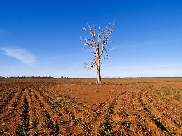 File:Field.jpg