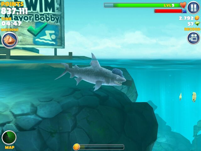 File:Tigershark.jpg