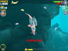 Lionfish