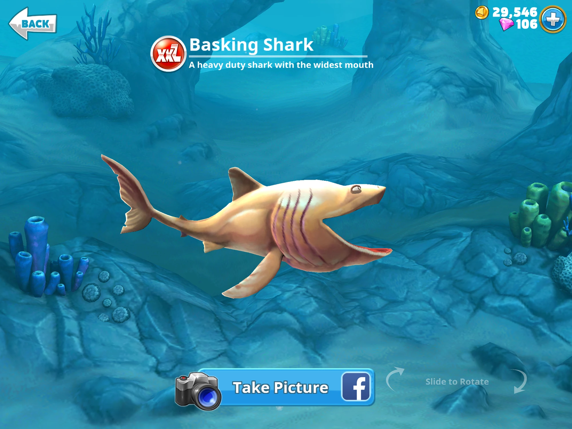хвостоколы в hungry shark. тигровая акула hungry shark world. хвостоколы в hungry shark. хвостоколы в hungry shark. Hungry shark world булл акула.