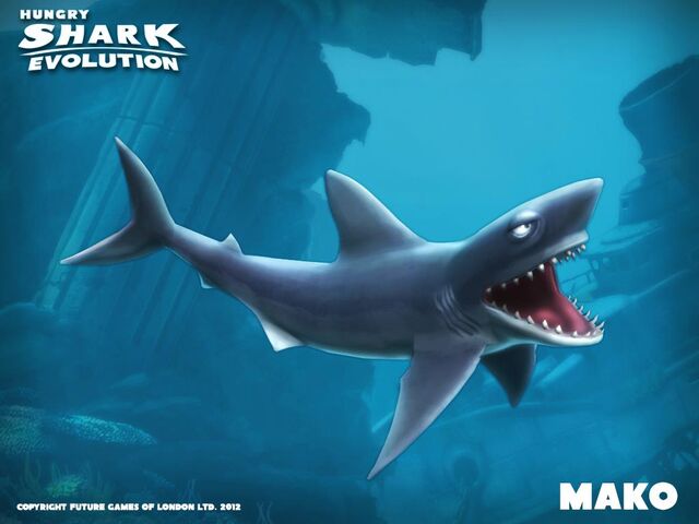 File:Mako Shark.jpg