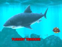 Turkey Fish