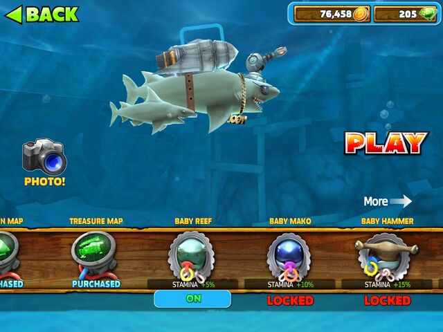 File:Baby Reef Shark.jpg