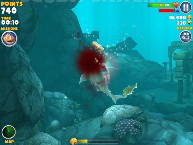File:Pufferfish.jpg
