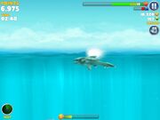 Electroshark