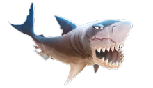 Megalodon Shark