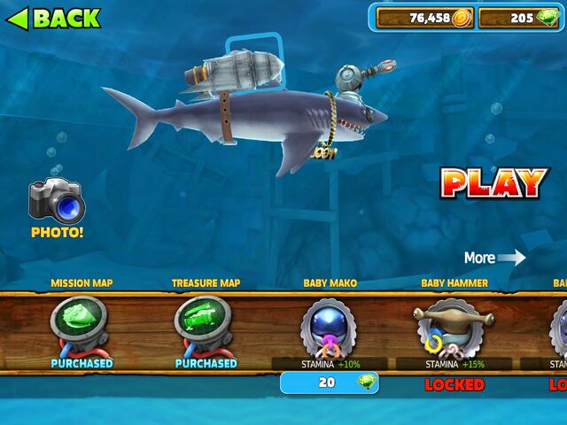File:Baby Mako Shark.jpg