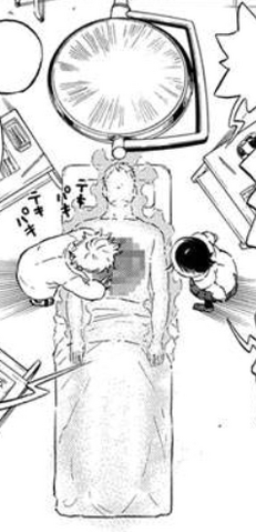 File:Haiji's autopsy.png
