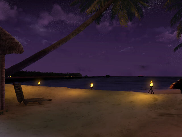 File:Turtle Bay Beach (Night).jpg