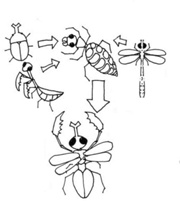 Phagogenesis manga