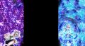 Thumbnail for version as of 05:15, July 3, 2017
