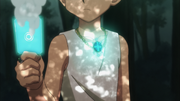 Paladin's Necklace activates