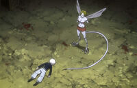 Mosquito sting.jpg