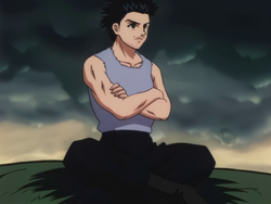 Risultati immagini per gin freecss