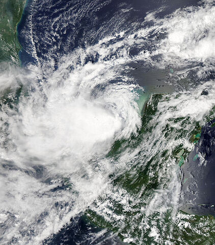 File:Nate.jpg