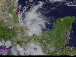 Invest 95L 25 Aug 2013 1645z