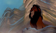 Lion king scar