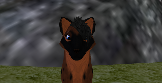 File:16- Brow Raise Right.png