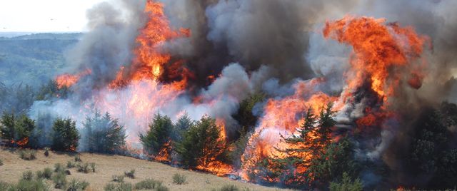 File:Wildfire (6).jpg
