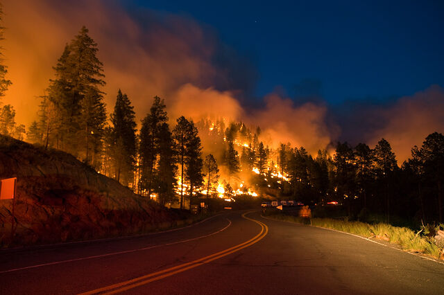 File:Wildfire (9).jpg