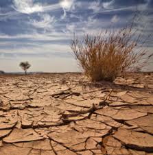File:Drought - 3.jpg