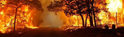 File:Wildfire (11).jpg