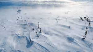 File:Deep Snow (6).jpg