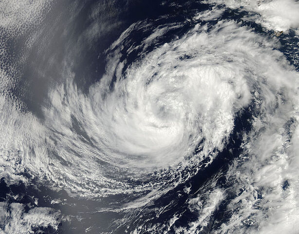 File:Douglas 2014.jpg