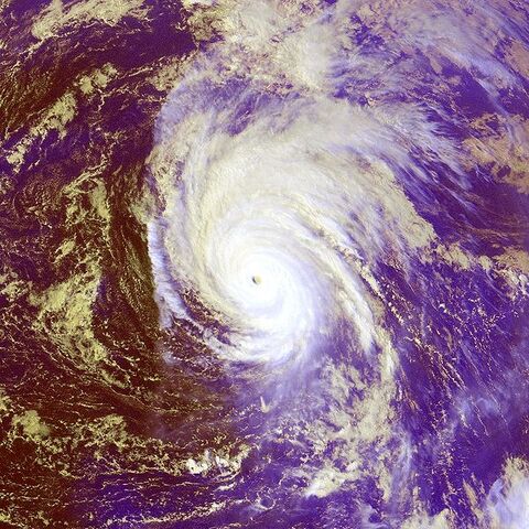 File:Typhoon Shanshan 22 sept 2000 0425Z.jpg