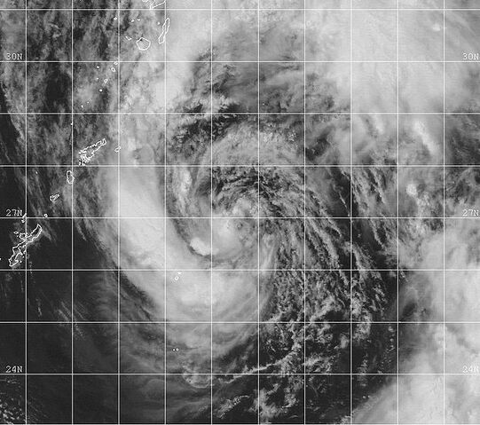 File:Tropical Storm Paul 1999.jpg