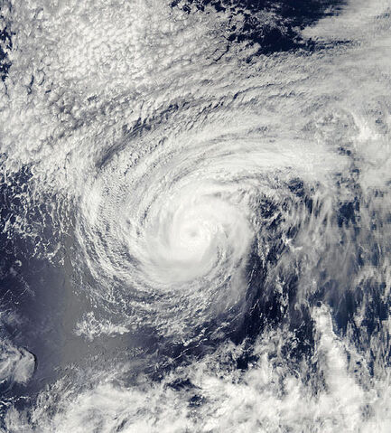 File:Hurricane Fernanda 2005.jpg