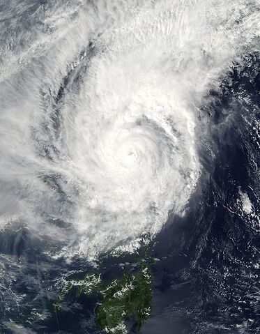 File:Typhoon Muifa 2004.jpg