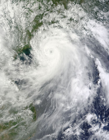 File:Linda.2020.jpg