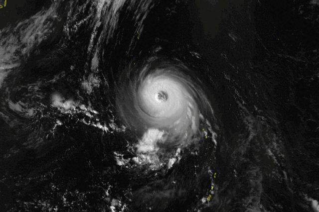 File:Nestor.gif