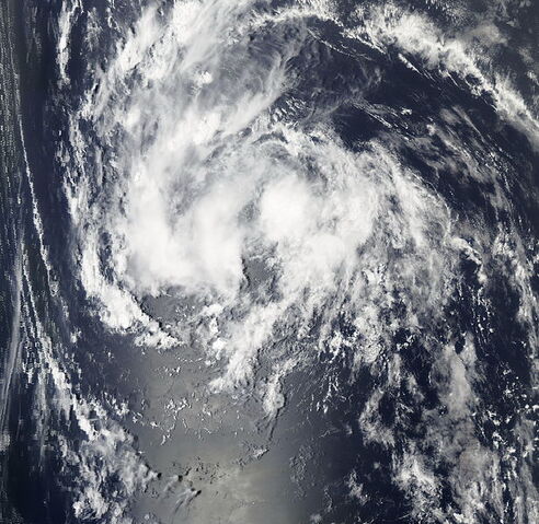 File:Fiona.jpg