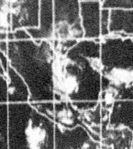 File:Fern Oct 3 1967.png