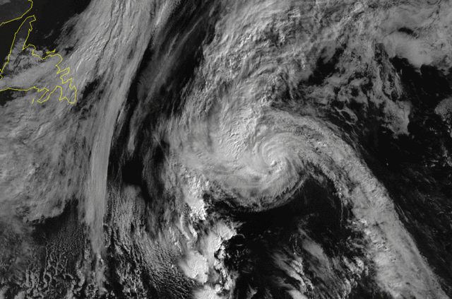 File:Lisa vis.gif