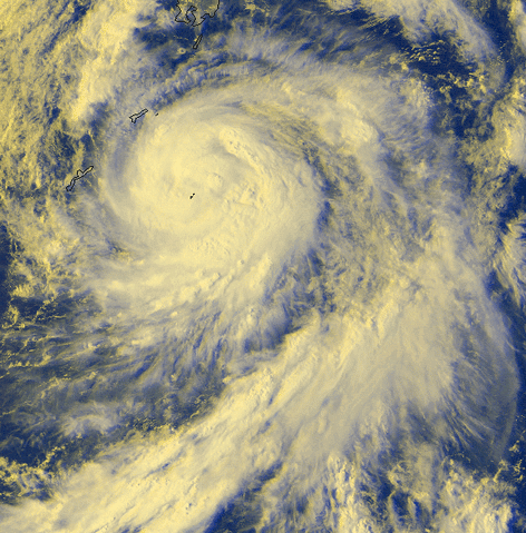 File:Vicki98.gif