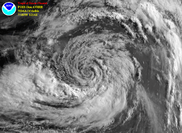 File:Tropical Storm Chantal (1995).gif