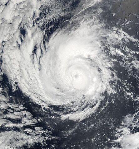 File:Hurricane Alma 2002.jpg